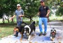 Asociaciones civiles y Ayuntamiento fortalecerán acciones de bienestar animal Asociaciones civiles y Ayuntamiento fortalecerán acciones de bienestar animal