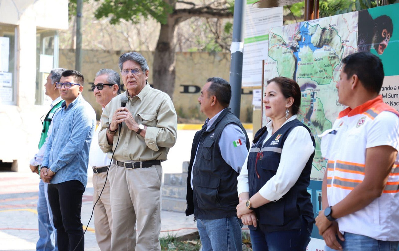 Ayuntamiento de Tuxtla Gutiérrez inicia reforestación en el Parque Nacional  Cañón del Sumidero – DIARIO TRIBUNA CHIAPAS