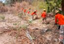 Se prepara Chiapas con acciones preventivas para la Temporada de Lluvias y Ciclones Tropicales 2025 Se prepara Chiapas con acciones preventivas para la Temporada de Lluvias y Ciclones Tropicales 2025
