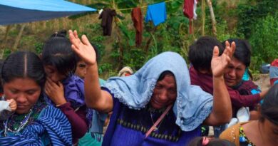 Desplazamientos por violencia en México se duplicaron durante 2024 Desplazamientos por violencia en México se duplicaron durante 2024