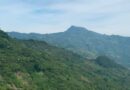 Preocupación ante el inicio de las obras vinculadas a la construcción de la mega carretera San Cristóbal-Palenque. Exigen la suspensión inmediata del proyecto