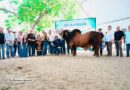 Reafirma Chiapas liderazgo ganadero en la XXVII Exposición Nacional Brahman