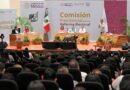 Realizan en Chiapas la Audiencia Pública de la Comisión Presidencial para la Reforma Electoral