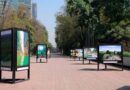 Chiapas inaugura galería fotográfica en el Bosque de Chapultepec