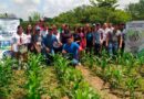 Maestría en Ciencias Agroforestales-UNICACH impulsa innovación con impacto social