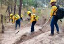 Impulsa Secretaría de Protección Civil Chiapas estrategia para la prevención de incendios forestales