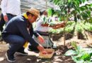 Eduardo Ramírez pone en marcha el programa más ambicioso para la cafeticultura en Chiapas