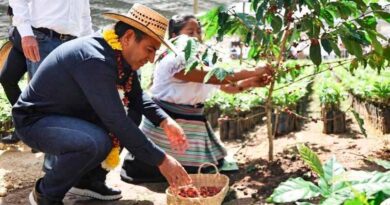 Eduardo Ramírez pone en marcha el programa más ambicioso para la cafeticultura en Chiapas