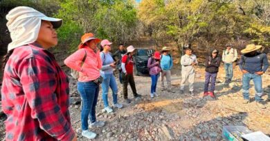 Colectivos reportan 287 mujeres asesinadas y 32 activistas muertos en Oaxaca entre 2022 y 2025