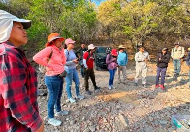 Colectivos reportan 287 mujeres asesinadas y 32 activistas muertos en Oaxaca entre 2022 y 2025 Colectivos reportan 287 mujeres asesinadas y 32 activistas muertos en Oaxaca entre 2022 y 2025