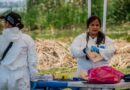 Búsqueda en Tláhuac-Chalco continuará de manera indefinida; es “emergencia forense”: colectivos