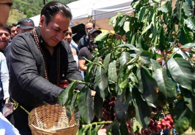 Eduardo Ramírez lleva apoyos del programa Café con Humanismo a cafeticultores de la Sierra Eduardo Ramírez lleva apoyos del programa Café con Humanismo a cafeticultores de la Sierra