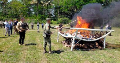 FGR incinera más de 400 kilos de narcóticos en Chiapas
