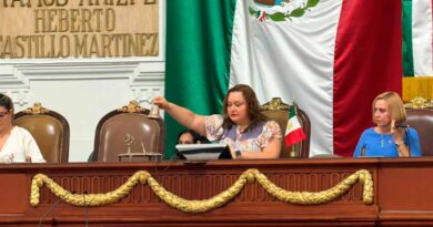 Ni la leyeron: Congresos locales aprueban en menos de 11 horas el reforma electoral de Morena Ni la leyeron: Congresos locales aprueban en menos de 11 horas el reforma electoral de Morena