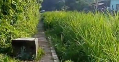 Estudiantes Caminan Entre la Oscuridad y el Monte: Acusan Abandono Total del Ayuntamiento de Cacahoatán Estudiantes Caminan Entre la Oscuridad y el Monte: Acusan Abandono Total del Ayuntamiento de Cacahoatán