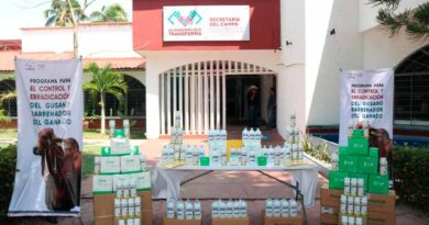 Secam fortalece acciones contra el GBG en la Costa de Chiapas