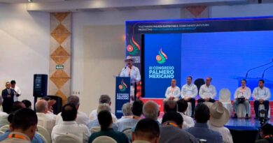 Propone Chiapas refinadora de aceite de palma para fortalecer al Sur-Sureste