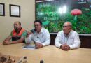 Salud realiza acciones para prevenir intoxicaciones por consumo de hongos silvestres Salud realiza acciones para prevenir intoxicaciones por consumo de hongos silvestres