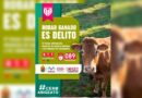Fortalece SSP combate al abigeato y llama a denunciar el robo de ganado en Chiapas