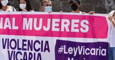 CIDH realizará su primera audiencia sobre violencia vicaria, impulsada por organizaciones mexicanas