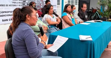 Comunidades indígenas exigen alto al despojo y a la criminalización de los pueblos en resistencia del Congreso Nacional Indígena en Chiapas