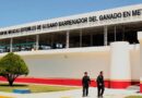 Planta producirá 100 millones de moscas estériles por semana para combatir la plaga del gusano barrenador