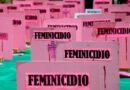 El mecanismo de Alerta por Violencia de Género opera en el abandono: sin reglas, recursos y con retrocesos