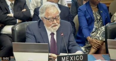 «Situación en Nicaragua no constituye una amenaza a la paz»: México se abstiene en la OEA de tomar medidas contra la anulación de elecciones en ese país
