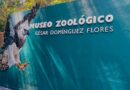 El ZooMAT evoluciona: nueva infraestructura para vivir la conservación, la innovación y la naturaleza en un mismo recorrido