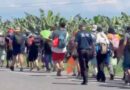 Caravana migrante genera polémica electoral en EU mientras recorre México rumbo a la frontera