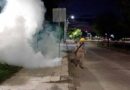 Exhorta Salud a sumarse a la eliminación masiva de criaderos de mosquitos para prevenir el dengue