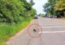Hallan 2 cabezas humanas cerca de base militar en Chiapas, las víctimas por la disputa territorial entre Cárteles Jalisco Nueva Generación (CJNG) y de Sinaloa (CDS) Hallan 2 cabezas humanas cerca de base militar en Chiapas, las víctimas por la disputa territorial entre Cárteles Jalisco Nueva Generación (CJNG) y de Sinaloa (CDS)