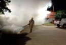 Salud mantiene activo plan de contención contra el dengue