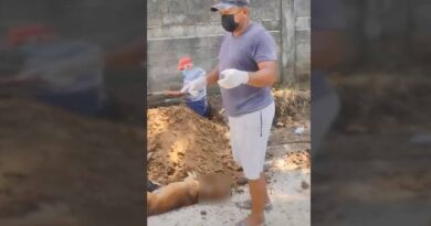 Denuncian envenenamiento de 25 perritos en Las Margaritas, en Pijijiapan, Chiapas. Vecinos sepultaron los cadáveres para evitar enfermedades