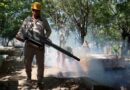 Despliega Salud Operativo Panteones para prevenir el dengue