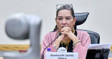 Guadalupe Taddei renunciará al INE