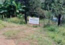 Hallan centro de exterminio y fosa en Xalisco, Nayarit