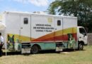 SS convoca a la Jornada Masiva de Esterilización de perros y gatos